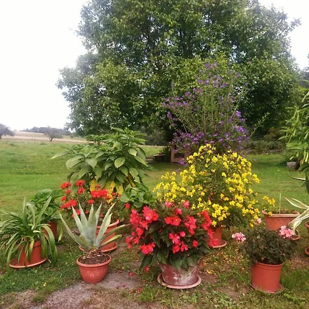 Country house Herpich Ehrenberg (Saxony)